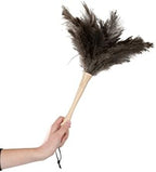 Superio Ostrich Feather Duster Fluffy Dust Remover, with Wooden Handle Reusable for Cleaning Homes, Ceilings, and Furniture (3 Pack) (1 Pack) - Image 6