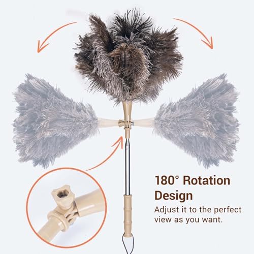 Extendable Ostrich Feather Duster, Natural Ostrich Feathers Long Handle Duster for Cleaning, 47” Soft & Fluffy Feather Duster for High Ceilings, Fans, Walls, Furniture, Home Dusting(A11-Ivory) - Image 5