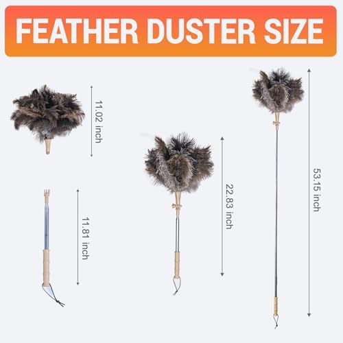 Extendable Ostrich Feather Duster, Natural Ostrich Feathers Long Handle Duster for Cleaning, 47” Soft & Fluffy Feather Duster for High Ceilings, Fans, Walls, Furniture, Home Dusting(A11-Ivory) - Image 4