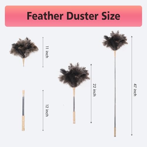 Extendable Ostrich Feather Duster, Natural Ostrich Feathers Long Handle Duster for Cleaning, 47” Soft & Fluffy Feather Duster for High Ceilings, Fans, Walls, Furniture, Home Dusting - Image 5