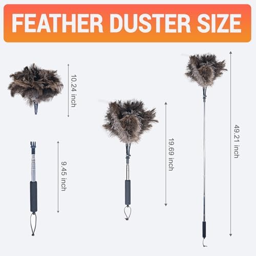 Luxury Black Curved Feather Duster, Extendable Ostrich Feather Cleaning Tool for High Ceilings, Furniture, Blinds, Walls, Soft Fluffy Long Handle Dusting(A13-Black) - Image 4