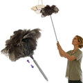 NCEDN Genuine Ostrich Feather Duster 40 Inches - Extendable Stainless Steel Handle, 8 Inches Long Thick Feathers, Telescopic Duster for Ceiling Fans, Blinds, Furniture, Car, Washable by NCEDN