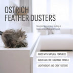 Retractable Feather Duster 8-14 in Adjustable - Natural Ostrich Feather Duster for Cleaning Ceiling Fans, Blinds, Plantation Shutters, Walls & Furniture - Quality Checked in USA - 2 Pack - Image 2