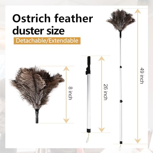 Extendable Ostrich Feather Duster 26-49 Inch, Natural Cleaning Duster with Aluminum Extension Pole Reusable for High Ceilings, Fans, Blinds, Furniture, Interior & Roof Dusting - Image 2
