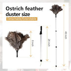 Extendable Ostrich Feather Duster 26-49 Inch, Natural Cleaning Duster with Aluminum Extension Pole Reusable for High Ceilings, Fans, Blinds, Furniture, Interior & Roof Dusting - Image 2