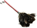 Premium Professional Feather Duster 21" | Natural Handheld Duster for Cleaning & Feather Mopping | Genuine Ostrich Feather with Long Wooden Handle | Eco-Friendly & Reusable (50 cm) by Unknown
