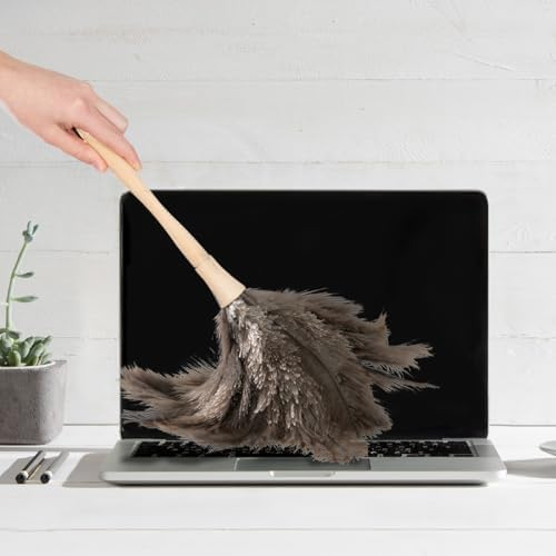 Superio Ostrich Feather Duster Fluffy Dust Remover, with Wooden Handle Reusable for Cleaning Homes, Ceilings, and Furniture (12 Pack) - Image 7
