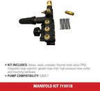 Simpson Manifold Replacement Kit for AAA Pressure Washer Pump - Image 4