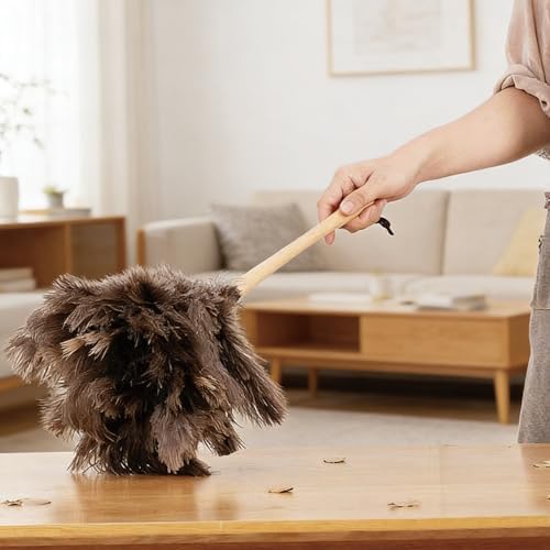 NCEDN Genuine Ostrich Feather Duster 15 inches – Soft Dense Real Feathers, Wooden Handle, Feather Duster for Cleaning Furniture, Blinds & Car Interior - Image 2