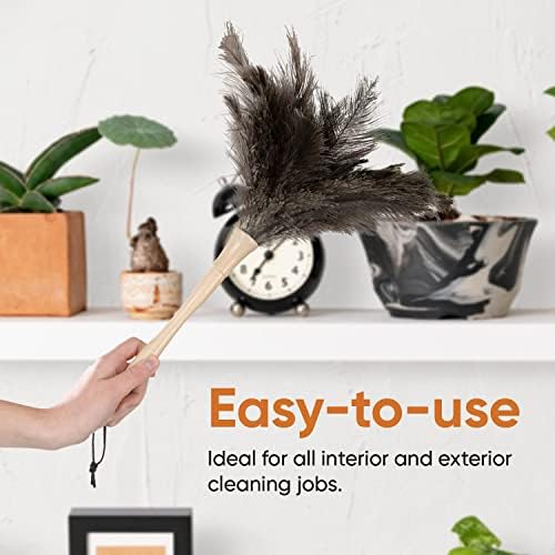 Superio Ostrich Feather Duster Fluffy Dust Remover, with Wooden Handle Reusable for Cleaning Homes, Ceilings, and Furniture (3 Pack) (3 Pack) - Image 4