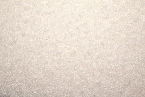 20" White Driver Pad – 1/4" Thick Light-Duty Floor Buffer Pads (10-Pack) by TTSProducts