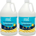 Urine B-Gone, Professional Enzyme Odor Eliminator & Pet Stain Remover, Human, Cat & Dog Urine Cleaner, Effective on Laundry, Carpets & More, Original Scent, 1 Gallon (Pack of 2) by URINEB-GONE