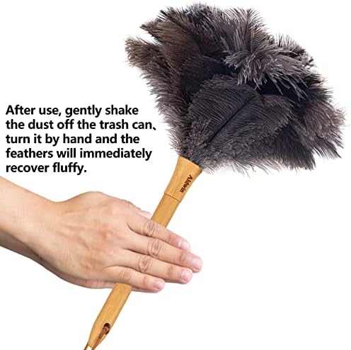 Genuine Ostrich Feather Duster with Wood Handle, 16 inch Gray - Image 5