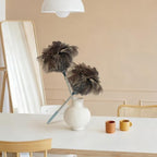 NCEDN Genuine Ostrich Feather Duster 40 Inches - Extendable Stainless Steel Handle, 8 Inches Long Thick Feathers, Telescopic Duster for Ceiling Fans, Blinds, Furniture, Car, Washable - Image 2