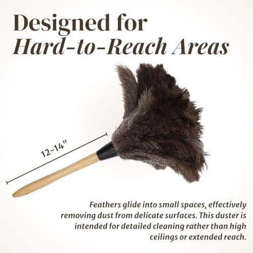 Ostrich Feather Duster with Wooden Handle 14" – Natural Reusable Feather Duster for Cleaning, Furniture & Shelves, Blinds, Ceiling Fan, Dusting Tool for Home, Office, Delicate Surfaces - 2 Pack - Image 4