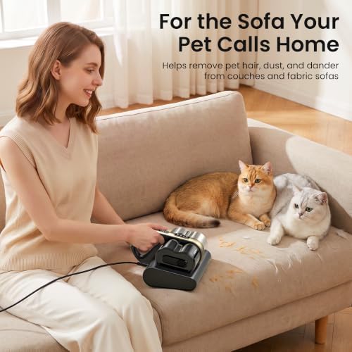 HEAPETS Mattress Vacuum Cleaner, 16Kpa Bed Vacuum with 275nm UV-C Light & 149℉ Heat & Ultrasonic, Dual High-Speed Roller Brushes & H13 HEPA Filter for Pet Hair, Bed, Sofa, Couch, Corded Black - Image 4