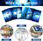 8 Pcs Fluorescent Light Covers with 80 Magnets Decorative for Classroom Ceiling Light 4 x 2 Feet Magnetic Light Covers Filter Easy Install for Office Hospitals & Home Drop Ceiling Supplies (Shark) - Image 4