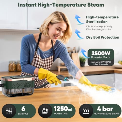 Steam Cleaner for Home, Pressurized Handheld Steamer - Image 2