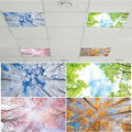 4 Pcs Fluorescent Light Covers with 40 Magnets Decorative for Classroom Ceiling Light 4 x 2 Feet Magnetic Light Covers Filter Easy Install for Office Hospitals & Home Drop Ceiling Supplies (Season) by Wiooffen