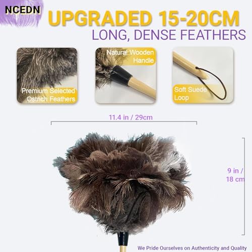 NCEDN Genuine Ostrich Feather Duster 15 inches – Soft Dense Real Feathers, Wooden Handle, Feather Duster for Cleaning Furniture, Blinds & Car Interior - Image 3
