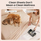 HEAPETS Mattress Vacuum Cleaner, 16Kpa Bed Vacuum with 275nm UV-C Light & 149℉ Heat & Ultrasonic, Dual High-Speed Roller Brushes & H13 HEPA Filter for Pet Hair, Bed, Sofa, Couch, Corded Black - Image 3