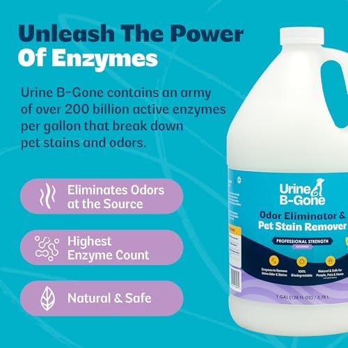 Urine B-Gone, Professional Enzyme Odor Eliminator & Pet Stain Remover, Human, Cat & Dog Urine Cleaner, Effective on Laundry, Carpets & More, Lavender Scent, 1 Gallon (Pack of 2) - Image 6