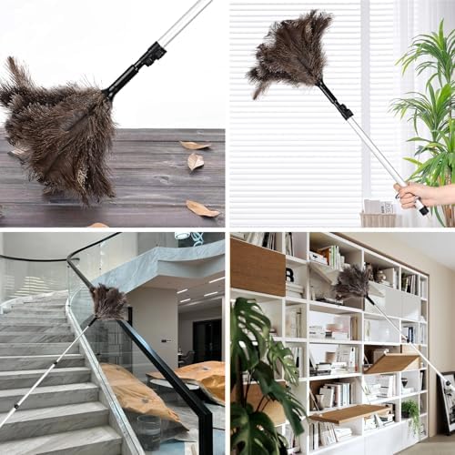 Extendable Ostrich Feather Duster 26-49 Inch, Natural Cleaning Duster with Aluminum Extension Pole Reusable for High Ceilings, Fans, Blinds, Furniture, Interior & Roof Dusting - Image 5
