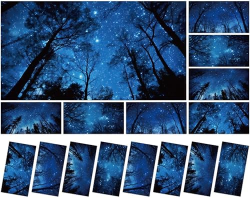 8 Pack Fluorescent Light Covers with 80 Magnets Decorative for Classroom Ceiling Light 4 x 2 Feet Magnetic Cover Filter Easy Install for Office School Home Hospital Drop Ceiling Supplies(Night Forest) by Wiooffen