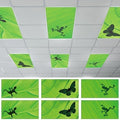 6 Pcs Fluorescent Light Covers with 60 Magnets Decorative for Classroom Ceiling Lights 4 x 2 Feet Magnetic Light Cover Filter Easy Install for Office Hospital Home Ceiling Supplies (Green Leaf Frog) by Wiooffen