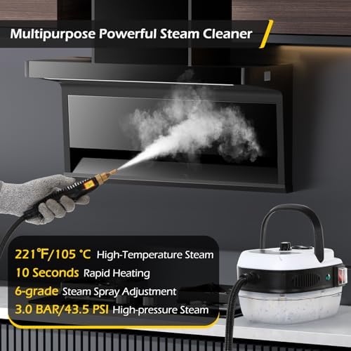 Dyna-Living Steam Cleaner 2500W Engine Steam Cleaner For Auto Detailing - Image 2