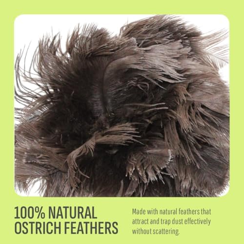 Retractable Feather Duster 8-14 in Adjustable - Natural Ostrich Feather Duster for Cleaning Ceiling Fans, Blinds, Plantation Shutters, Walls & Furniture - Quality Checked in USA - 2 Pack - Image 4