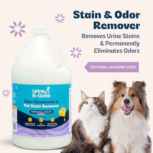 Urine B-Gone, Professional Enzyme Odor Eliminator & Pet Stain Remover, Human, Cat & Dog Urine Cleaner, Effective on Laundry, Carpets & More, Lavender Scent, 1 Gallon (Pack of 2) - Image 3