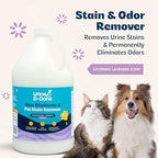 Urine B-Gone, Professional Enzyme Odor Eliminator & Pet Stain Remover, Human, Cat & Dog Urine Cleaner, Effective on Laundry, Carpets & More, Lavender Scent, 1 Gallon (Pack of 2) - Image 3