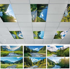 Wiooffen 6 Pcs Fluorescent Light Covers with 60 Magnets Decorative for Classroom Ceiling Light 4 x 2 Feet Magnetic Light Covers Filter Easy Install for Office Hospitals & Home(Landscape) by Wiooffen