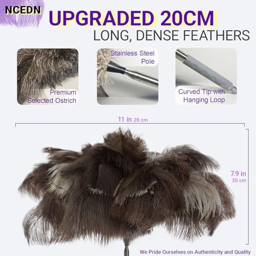 NCEDN Genuine Ostrich Feather Duster 40 Inches - Extendable Stainless Steel Handle, 8 Inches Long Thick Feathers, Telescopic Duster for Ceiling Fans, Blinds, Furniture, Car, Washable - Image 4