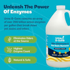 Urine B-Gone, Professional Enzyme Odor Eliminator & Pet Stain Remover, Human, Cat & Dog Urine Cleaner, Effective on Laundry, Carpets & More, Original Scent, 1 Gallon (Pack of 2) - Image 6