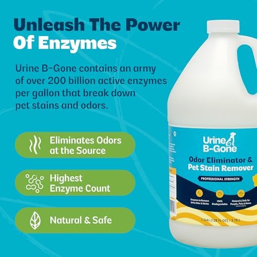Urine B-Gone, Professional Enzyme Odor Eliminator & Pet Stain Remover, Human, Cat & Dog Urine Cleaner, Effective on Laundry, Carpets & More, Original Scent, 1 Gallon (Pack of 2) - Image 6