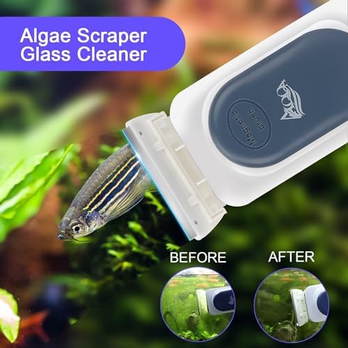 AQQA Aquarium Strong Magnetic Cleaner Brush, Fish Tank Glass Algae Magnet Cleaning Tool Floating Cleaner Scrubber Brush with 2 Detachable Scraper (Blue,S) - Image 3