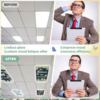 8Pcs Classroom Inspirational Fluorescent Light Covers,2x4 FT Succulent - Image 5