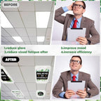 8Pcs Classroom Fluorescent Light Cover,2x4 FT Eucalyptus Leaf Inspirational - Image 5