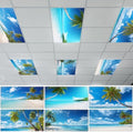 6 Pcs Fluorescent Light Covers with 60 Magnets Decorative for Classroom Ceiling Lights 4 x 2 Feet Magnetic Light Cover Filter Easy Install for Hospitals Drop Home Office Ceiling Supply(Coconut Tree) by Wiooffen