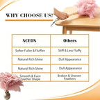NCEDN Pink Ostrich Feather Duster 32cm – Soft Feather Duster with Wooden Handle for Keyboard, Blinds, Ceiling Fan & Furniture Cleaning - Image 6