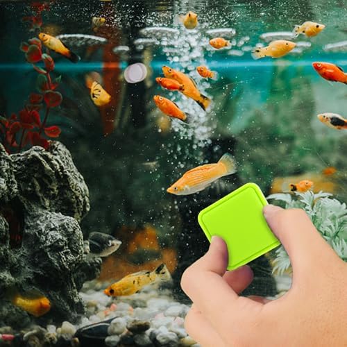 Magnetic Aquarium Fish Tank Glass Algae Scrapers Glass Cleaner Scrubber Clean [Compact, Scratch-Free, Non-Slip, Emhanced Magnet] - Image 6