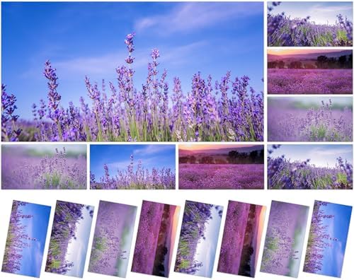 8 Pcs Fluorescent Light Covers with 80 Magnets Decorative for Classroom Ceiling Light 4 x 2 Feet Magnetic Light Covers Filter Easy Install for Office Hospitals & Home Drop Ceiling Supplies （Lavender） by Wiooffen