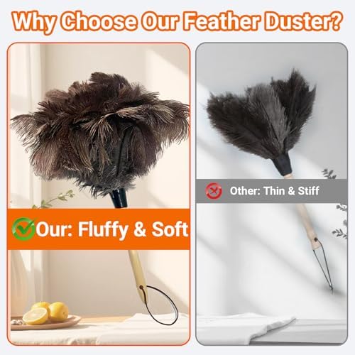 NCEDN Genuine Ostrich Feather Duster 15 inches – Soft Dense Real Feathers, Wooden Handle, Feather Duster for Cleaning Furniture, Blinds & Car Interior - Image 5