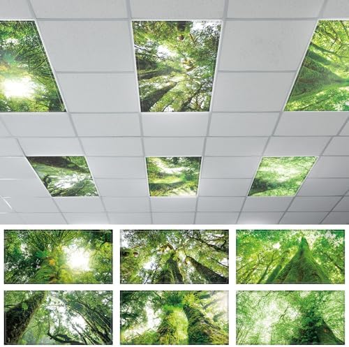6 Pcs Fluorescent Light Covers with 60 Magnets Decorative for Classroom Ceiling Lights 4 x 2 Feet Magnetic Light Cover Filter Easy Install for Office Hospital Home Ceiling Supplies (Rainforest) by Wiooffen
