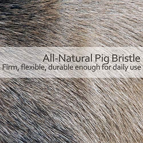 Redecker Natural Pig Bristle Espresso Maker Brush with Oiled Thermowood Handle, 8-1/8-Inches - Image 5
