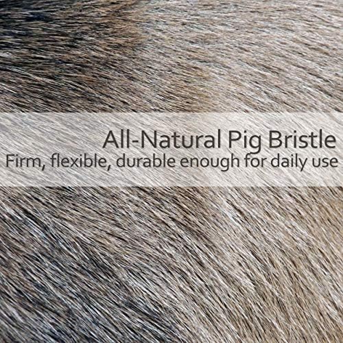 Redecker Natural Pig Bristle Espresso Maker Brush with Oiled Beechwood Handle, Narrow Brush Head Reaches Tight Spaces, Hanging Loop for Storage, 8 inches, Made in Germany - Image 6